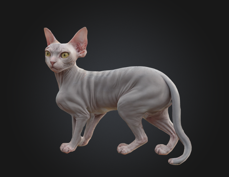 Luna the Mystic Sphynx