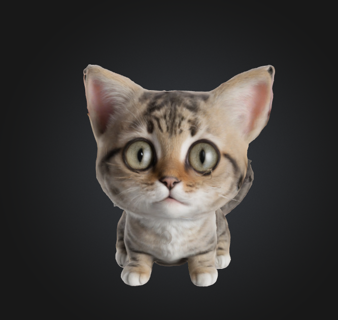 Mochi the Wonder-Eyed